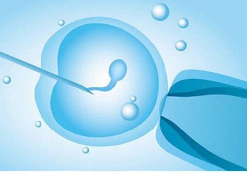 子宮前壁女兒后壁兒子沒有科學依據(jù)！胎兒性別與懷孕位置沒有關系